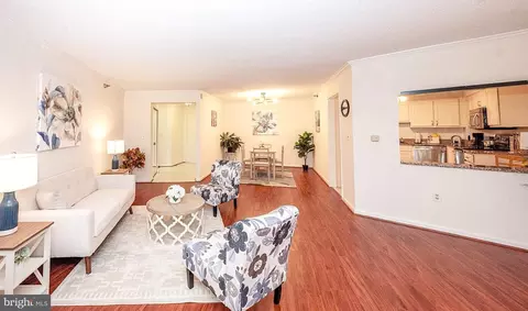 Living - 14805 Pennfield Cir #206, Silver Spring, MD 20906 photo 5 of 5