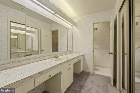 Bath - 12709 Hammonton Rd, Silver Spring, MD 20904 photo 2 of 4