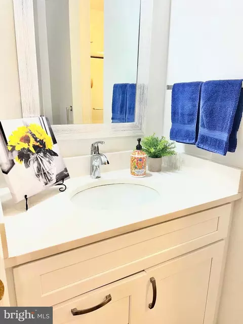 Bath - 3466 Chiswick Ct #43-2A, Silver Spring, MD 20906 photo 3 of 3