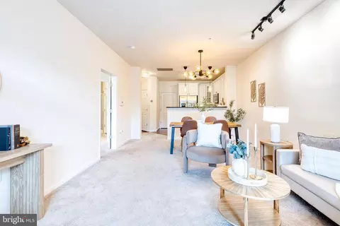 Living - 3850 Clara Downey Ave #12, Silver Spring, MD 20906 photo 4 of 5
