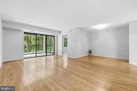 Living - 15115 Interlachen Dr #3-524, Silver Spring, MD 20906 photo 3 of 3