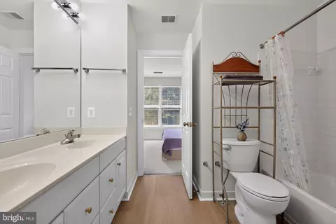Bath - 14209 Royal Forest Ln, Silver Spring, MD 20904 photo 3 of 4