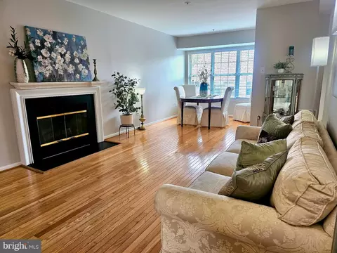 Living - 14913 Cleese Ct #4AF, Silver Spring, MD 20906 photo 5 of 5