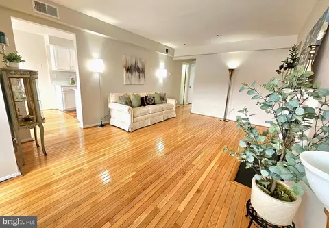Living - 14913 Cleese Ct #4AF, Silver Spring, MD 20906 photo 4 of 5