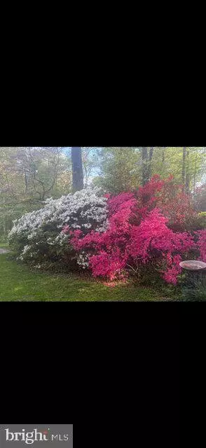Other - 2213 Apple Tree Ln, Silver Spring, MD 20905 photo 9 of 9