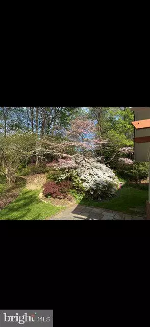 Exterior - 2213 Apple Tree Ln, Silver Spring, MD 20905 photo 9 of 9