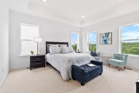 Bedroom - 22443 Sculpin Brook Rd, Boyds, MD 20841 photo 1 of 9