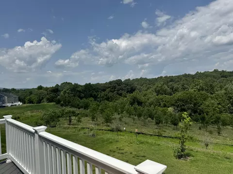 Other - 22443 Sculpin Brook Rd, Boyds, MD 20841 photo 15 of 18