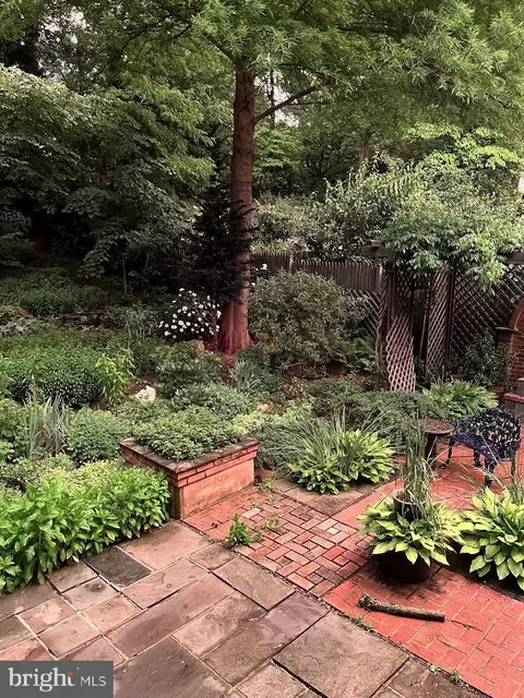 Exterior - 505 Thayer Ave, Silver Spring, MD 20910 photo 19 of 25