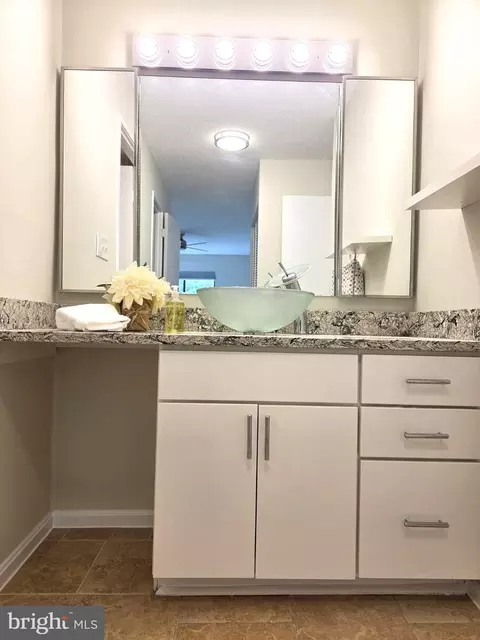 Bath - 15107 Interlachen Dr #2-517, Silver Spring, MD 20906 photo 2 of 8