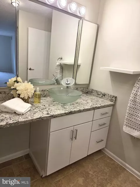 Bath - 15107 Interlachen Dr #2-517, Silver Spring, MD 20906 photo 1 of 8