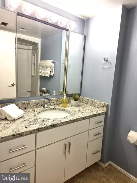Bath - 15107 Interlachen Dr #2-517, Silver Spring, MD 20906 photo 6 of 8