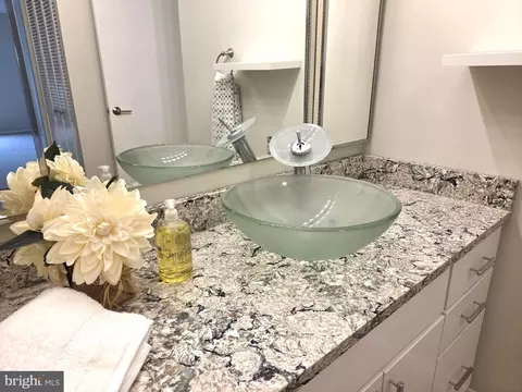 Bath - 15107 Interlachen Dr #2-517, Silver Spring, MD 20906 photo 3 of 8