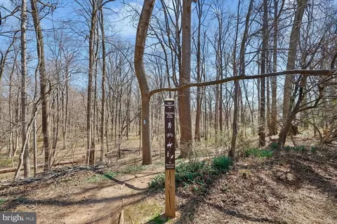 Other - 2308 Laurelwood Ter, Silver Spring, MD 20905 photo 24 of 24
