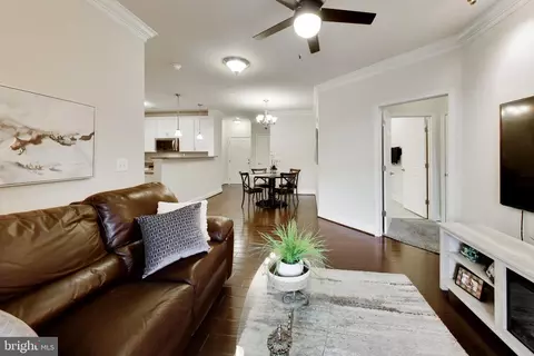 Other - 3825 Doc Berlin Dr #15, Silver Spring, MD 20906 photo 5 of 8