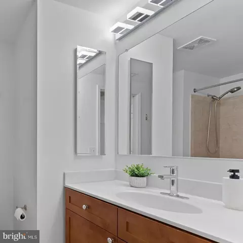 Bath - 930 Wayne Ave #610, Silver Spring, MD 20910 photo 2 of 2