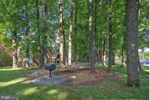 Other - 2305 Greenery Ln #102-3, Silver Spring, MD 20906 photo 6 of 7