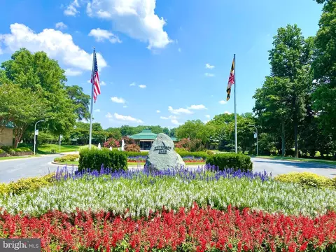 View/Area - 15115 Interlachen Dr #3-621, Silver Spring, MD 20906 photo 4 of 4