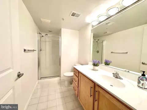 Bath - 7923 Eastern Ave #404, Silver Spring, MD 20910 photo 1 of 4