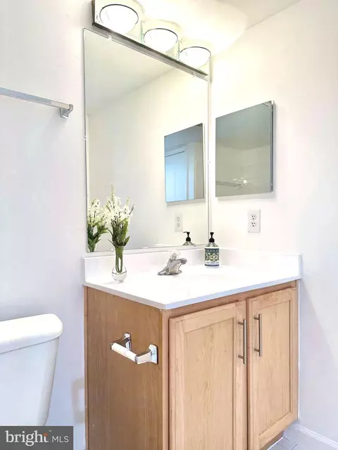 Bath - 7923 Eastern Ave #404, Silver Spring, MD 20910 photo 3 of 4
