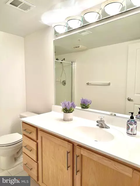 Bath - 7923 Eastern Ave #404, Silver Spring, MD 20910 photo 2 of 4