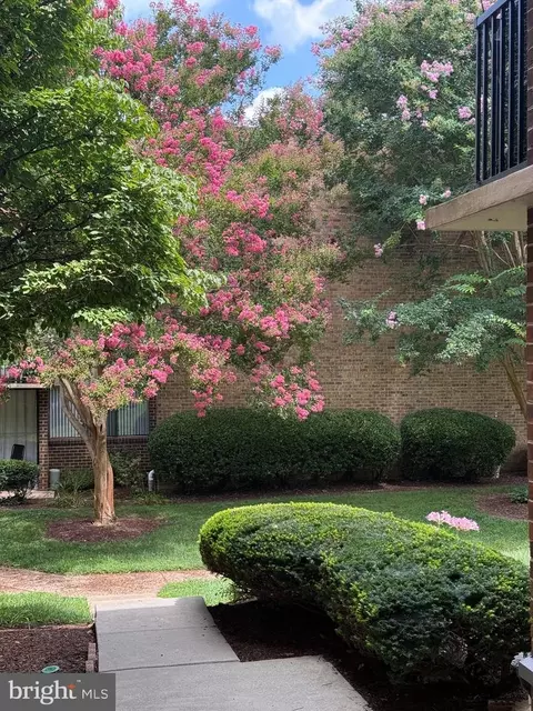 Exterior - 9903 Blundon Dr #6-101, Silver Spring, MD 20902 photo 6 of 6
