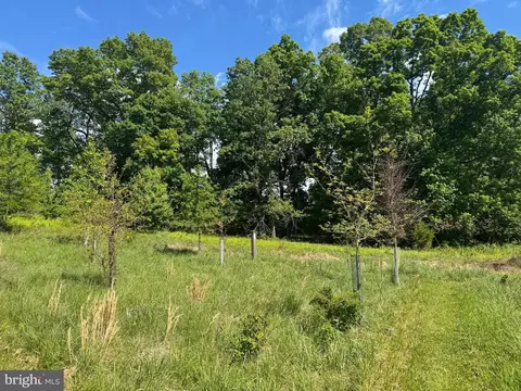 15491 Barnesville Rd, Boyds, MD 20841 photo 12
