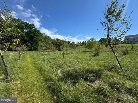 15491 Barnesville Rd, Boyds, MD 20841 photo 7
