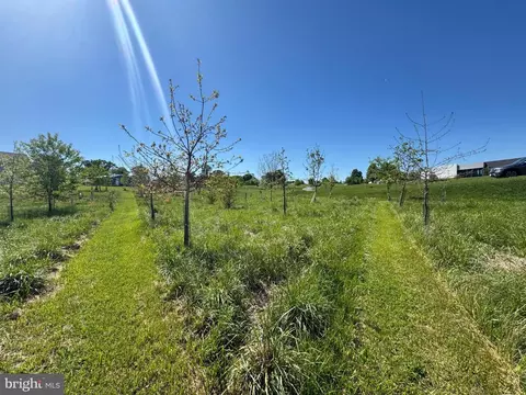 15491 Barnesville Rd, Boyds, MD 20841 photo 10
