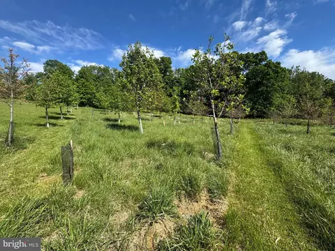 15491 Barnesville Rd, Boyds, MD 20841 photo 6