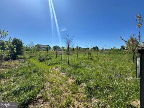 15491 Barnesville Rd, Boyds, MD 20841 photo 17