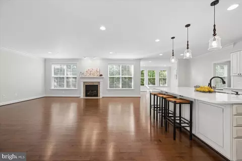 Living - 19902 Stearns Ct, Poolesville, MD 20837 photo 3 of 4