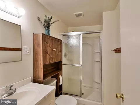 Bath - 14403 Long Green Dr, Silver Spring, MD 20906 photo 3 of 4