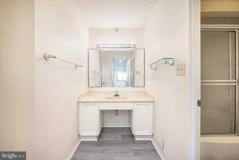 Bath - 15101 Interlachen Dr #1-807, Silver Spring, MD 20906 photo 4 of 5