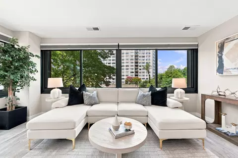 Living - 700 Roeder Rd #203, Silver Spring, MD 20910 photo 2 of 3