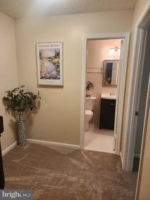 Entry Way - 3 Castle Cliff Ct, Silver Spring, MD 20904 photo 4 of 4