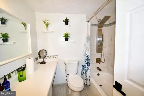 Bath - 14434 Twig Rd, Silver Spring, MD 20905 photo 4 of 8