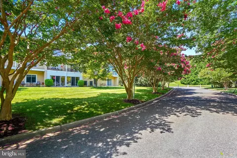 Other - 15121 Glade Dr #13-3B, Silver Spring, MD 20906 photo 8 of 20