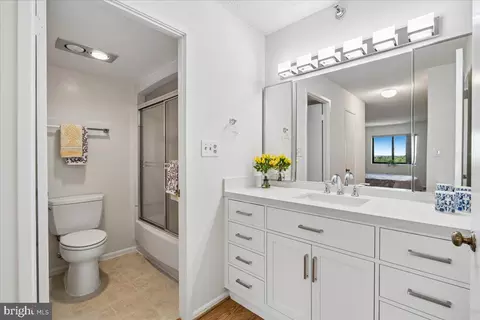 Bath - 15115 Interlachen Dr #3-901, Silver Spring, MD 20906 photo 1 of 3