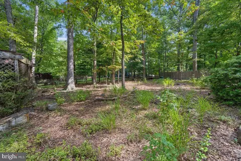 Exterior - 14701 Fireside Dr, Silver Spring, MD 20905 photo 14 of 24