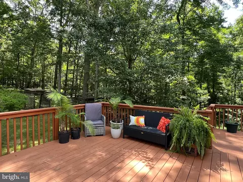 Exterior - 14701 Fireside Dr, Silver Spring, MD 20905 photo 21 of 24