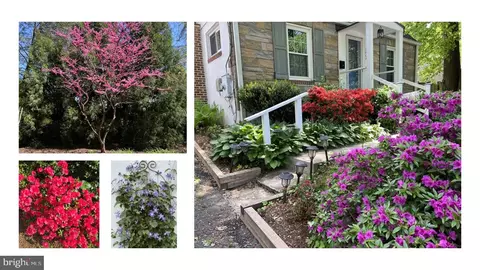 Other - 9807 Gardiner Ave, Silver Spring, MD 20902 photo 1 of 7