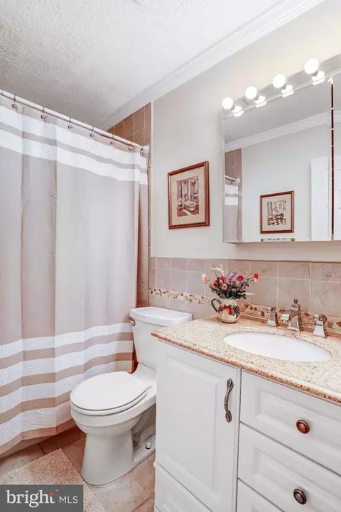 Bath - 229 Windridge Acres Ct, Silver Spring, MD 20905 photo 7 of 9
