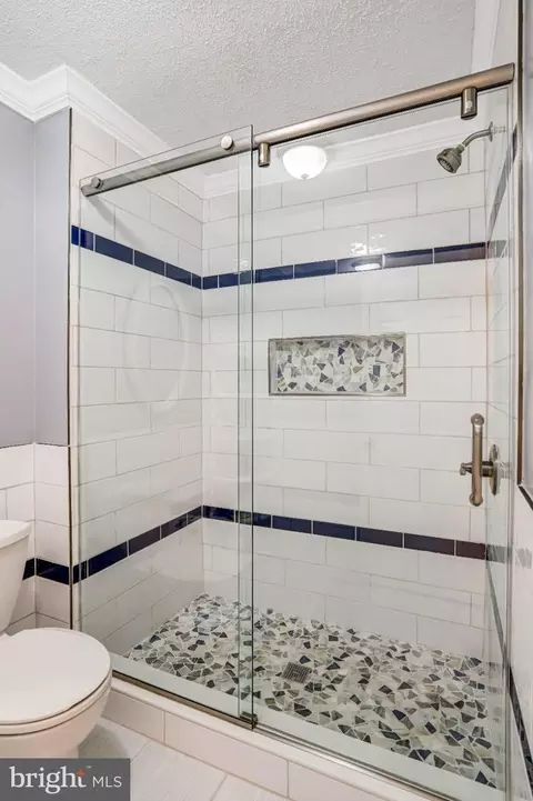 Bath - 229 Windridge Acres Ct, Silver Spring, MD 20905 photo 5 of 9