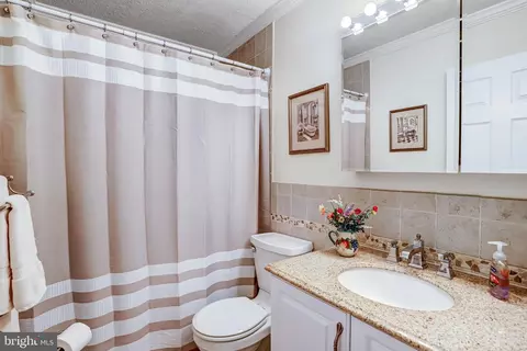 Bath - 229 Windridge Acres Ct, Silver Spring, MD 20905 photo 6 of 9