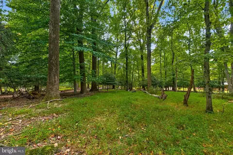 Exterior - 13904 Overton Ln, Silver Spring, MD 20904 photo 21 of 28