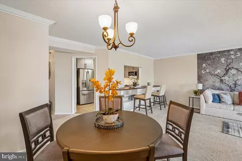 Dining - 15101 Interlachen Dr #1-1024, Silver Spring, MD 20906 photo 3 of 5
