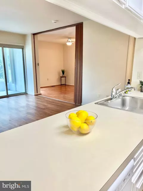 Kitchen - 3640 Gleneagles Dr #10-1B, Silver Spring, MD 20906 photo 5 of 5