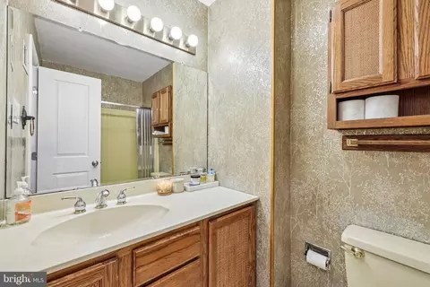 Bath - 12515 White Dr, Silver Spring, MD 20904 photo 7 of 7