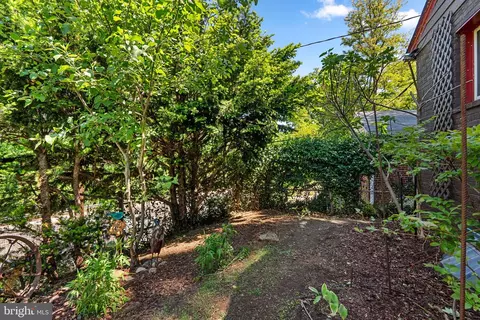 Exterior - 8313 Piney Branch Rd, Silver Spring, MD 20910 photo 4 of 16